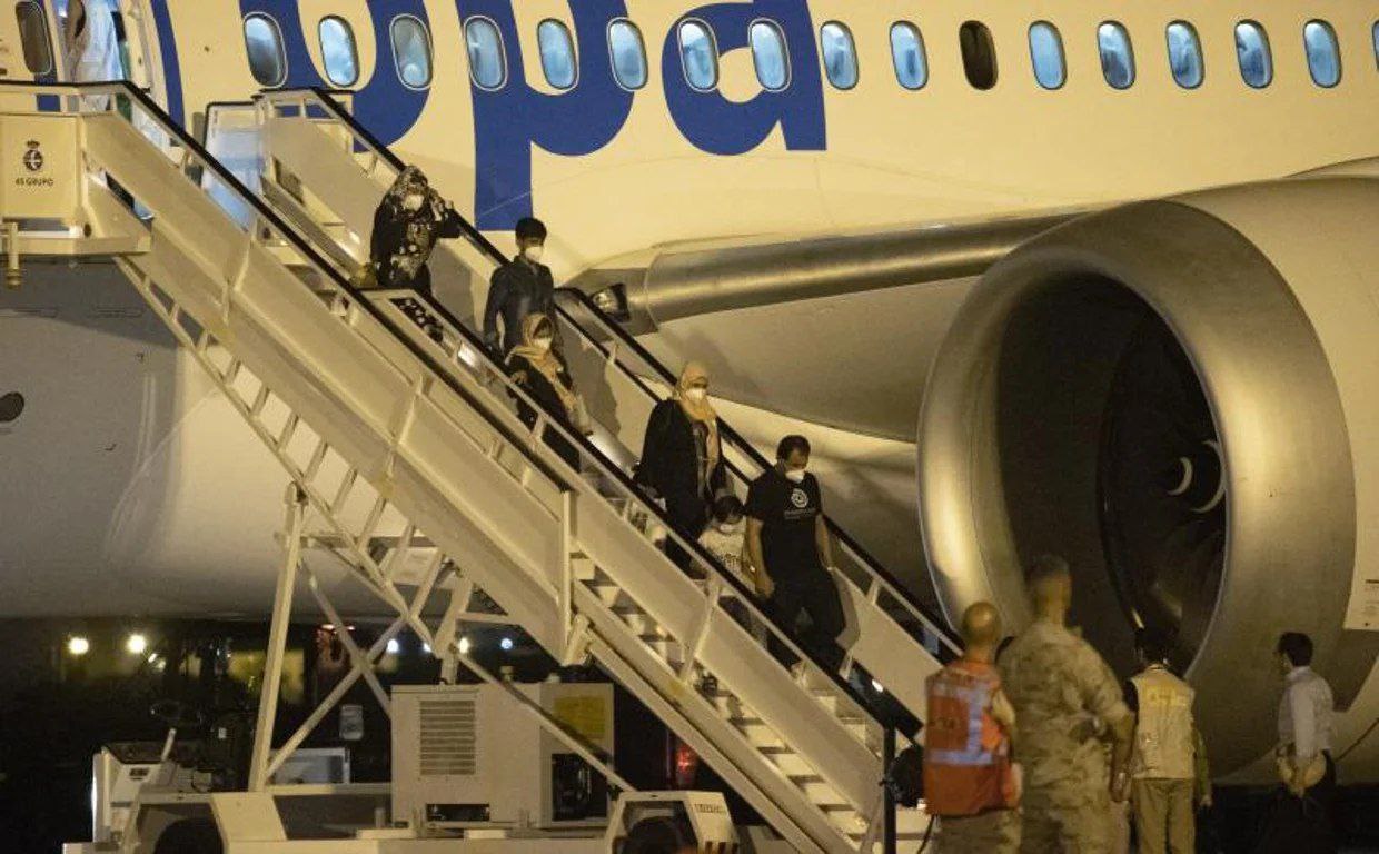 🔴پناهجوی محکوم از آلمان به افغانستان بازگردانده شده‌اند