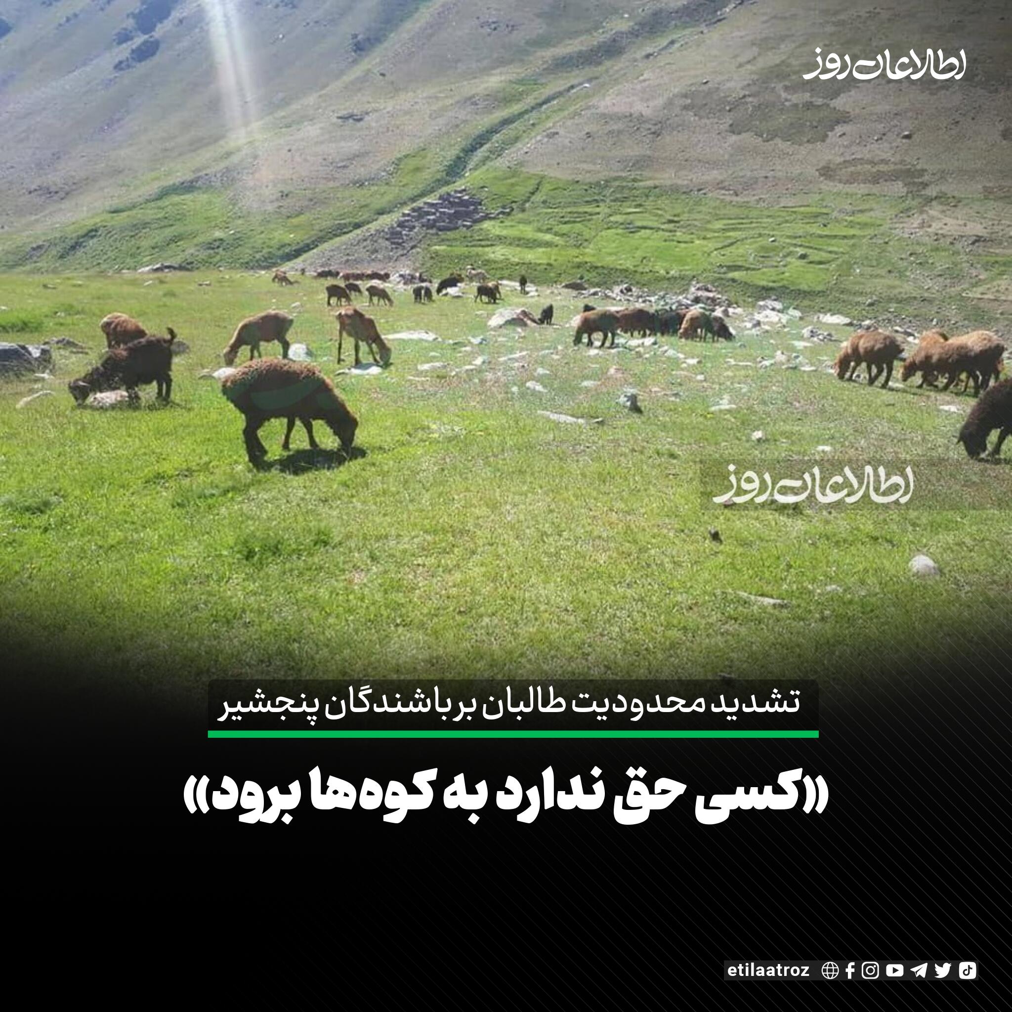 منابع محلی در پنجشیر می‌گویند که در پی حمله به پاسگاه‌های طالبان در ولسوالی دره این ولایت، این گروه محدودیت‌ها بر باشندگان محل را تشدید کرده‌ است.